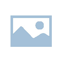 养猫有4大禁忌不要乱触碰